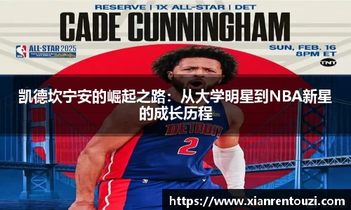 凤凰联盟平台